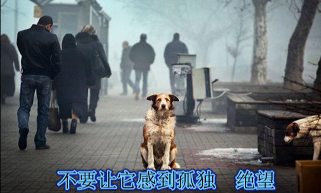 齐齐哈尔齐齐哈尔爱影圈微博微信转发案例